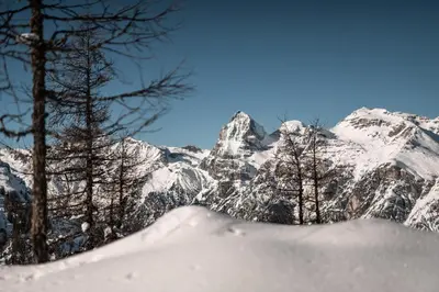 a snow covered mountain with trees in the foreground at Stadtnestl Apartment in Vipiteno