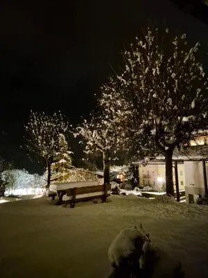 a park bench in a field with trees at night at La casa sul giardino in Castello di Fiemme