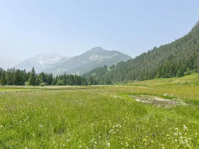 a field of grass with mountains in the background at Chalet Vernel in Canazei