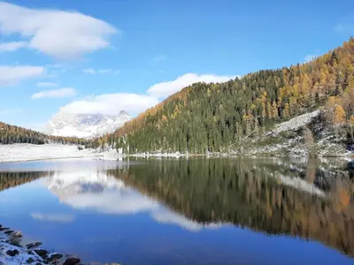 a view of a lake with trees and mountains at Baita Mountain View Pale San Martino in Fiera di Primiero