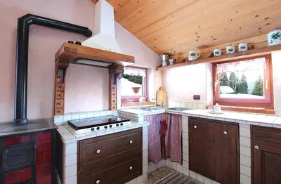 a large kitchen with a stove and a sink at Baita Mountain View Pale San Martino in Fiera di Primiero