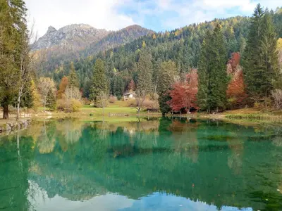 a lake in the middle of a forest at Baita Mountain View Pale San Martino in Fiera di Primiero