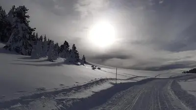 a snow covered slope with trees and the sun at Appartamento Casa AleF - L'affaccio sul Lagorai in Daiano
