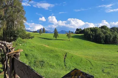 a field of green grass with a fence and trees at Appartamento Casa AleF - L'affaccio sul Lagorai in Daiano