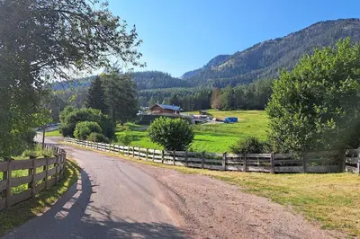a dirt road with a fence next to a field at Appartamento Casa AleF - L'affaccio sul Lagorai in Daiano