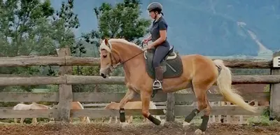 a person riding on a horse near a fence at Grasspeintenhof Reiterhof in Falzes