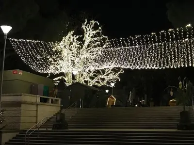 a bunch of lights hanging from a tree at night at Thermae Apartment in Merano