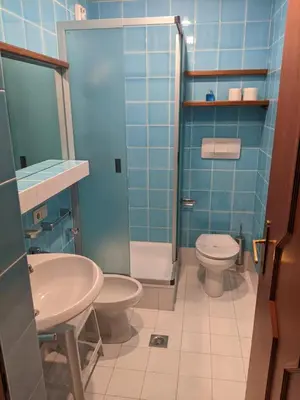 a bathroom with a toilet and a sink and a shower at Chalet con vista villaggio ploner in Dobbiaco