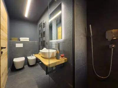 a bathroom with a sink and a toilet and a shower at Duo Charme in Moena