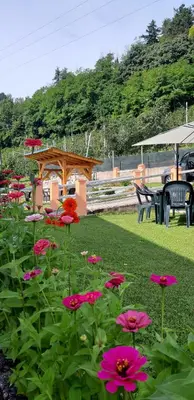 a garden with a table and an umbrella at Agritur Casa al Mulino Appartamenti in Sanzeno