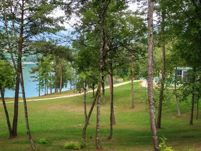 a group of trees in a field next to a body of water at Apartment Elisa by Interhome in Ronzone