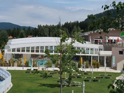 a large building with a pool in a yard at Apartment Elisa by Interhome in Ronzone