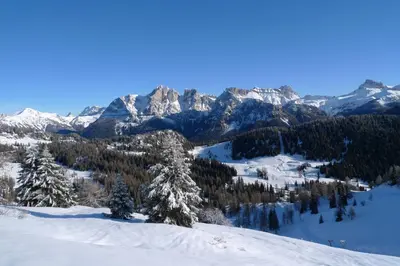 a view of a snow covered mountain range with trees at Appartamento Tre Valli 5 in Alleghe