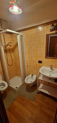 a bathroom with a shower and a sink and a toilet at Ca' Ravagnan in Cortina dʼAmpezzo