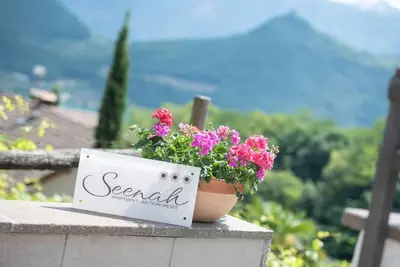 a potted plant sitting on a ledge with a sign at Apartment Seenah in Caldaro