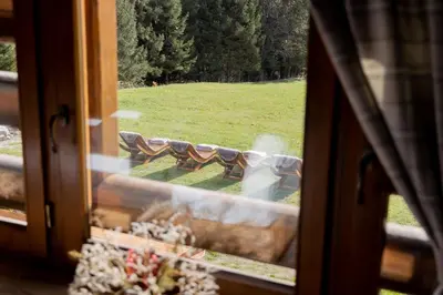 a window with a view of a park with a bench at Chalet Al Maso Val Calamento in Telve