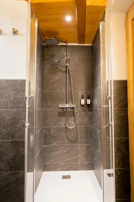 a shower with a glass door in a bathroom at Chalet Al Maso Val Calamento in Telve