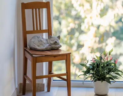 a cat sleeping on a chair next to a window at Fritzenhof in Termeno