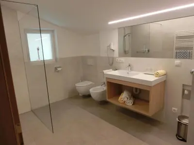 a bathroom with a sink and a toilet and a shower at Fritzenhof in Termeno