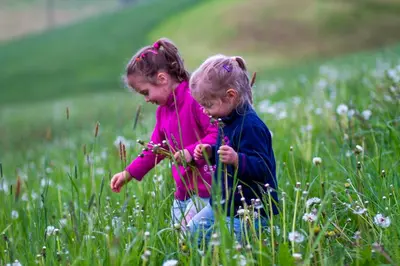 two little girls are playing in a field of flowers at Hof Zerund in Castelrotto