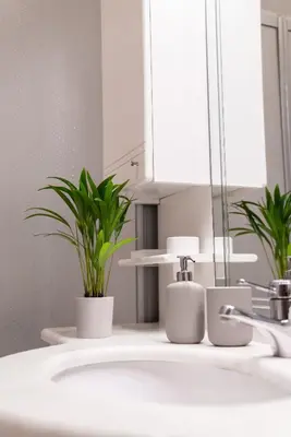 a bathroom with a sink with two plants on it at Apartment Schoenblick in Caldaro