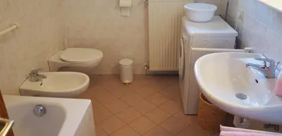 a bathroom with a sink and a toilet and a sink at Tommele Hof in Volser Aicha
