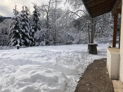 a pile of snow next to a yard with trees at Eco Chalet Nonno Silvano in Bedollo