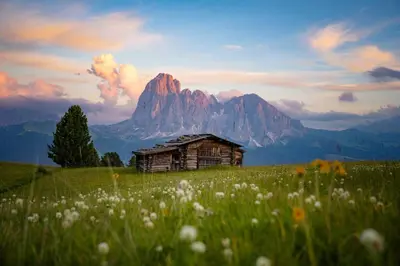an old cabin in a field of flowers with a mountain at Sule Hof Agriturismo in Ortisei