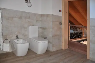 a bathroom with a toilet and a shower at Meraviglioso Loft con vista sulle Dolomiti in Colle Santa Lucia
