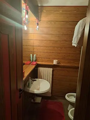 a small bathroom with a sink and a toilet at Comodo e luminoso, splendida vista su Cortina in Cortina dʼAmpezzo