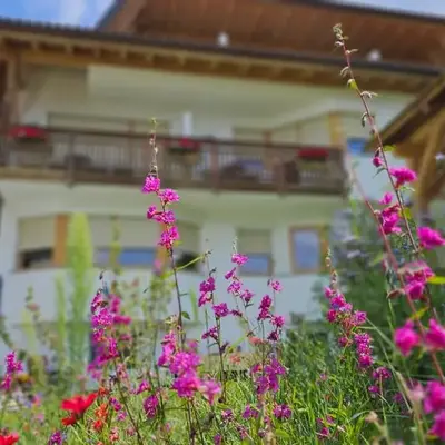 Pension Pepi - Apartments I Bed - Breakfast