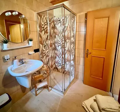 a bathroom with a shower and a sink at Stanza Roma in Tesero