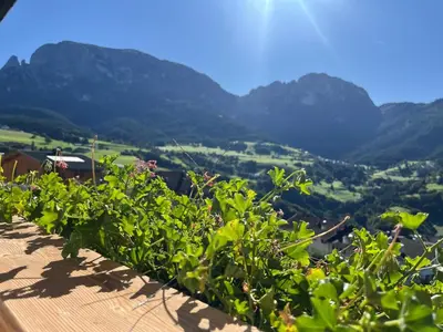 a view of a valley with mountains in the background at Apartements Mitterstill in Fiè