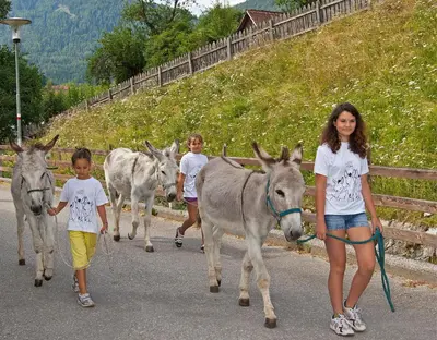 a group of children walking down a road with donkeys at Apartments Ansitz Wildberg in San Lorenzo di Sebato