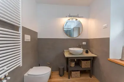 a bathroom with a toilet and a sink and a mirror at Ciesa dela Maestra in Rocca Pietore