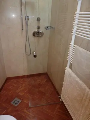 a bathroom with a shower with a wooden floor at Apartment Leonardo in Bolzano