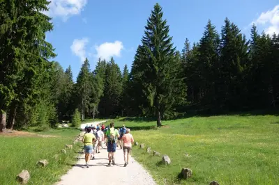 a group of people walking down a trail at Hotel Krause in Tirolo