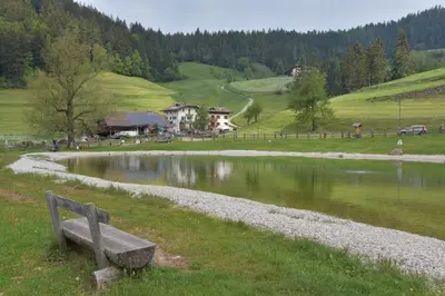 a bench sitting in the grass next to a pond at Appartamenti Agritur Mas da la Val in Ronzone