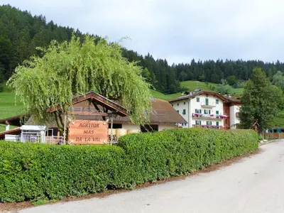 a building with a tree on the side of a road at Appartamenti Agritur Mas da la Val in Ronzone