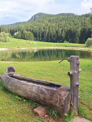 a log bench sitting in a field next to a lake at Appartamenti Agritur Mas da la Val in Ronzone