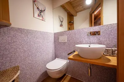 a bathroom with a sink and a toilet at Attic Apartment Dolasilla in Selva di Val Gardena