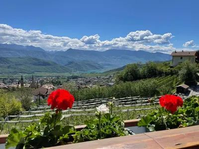 a vineyard with red flowers and mountains in the background at Weißhaus Hof in Caldaro