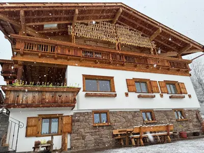 a large building with a wooden roof and windows at B&B Belvedere in Daiano