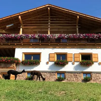 B&B Belvedere