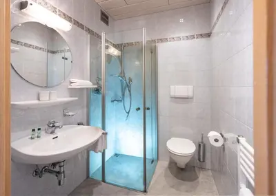 a bathroom with a shower and a sink and a toilet at Hotel Restaurant Waldea in Marlengo