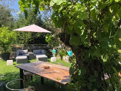 a wooden table and chairs under a tree at A&A Apartments Resort in Bressanone