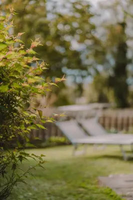 a park bench sitting in the grass in a yard at Luisashaus in Tirolo