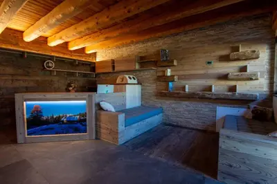 a room with a fireplace in a wooden house at Mas di Siti in Castelfondo