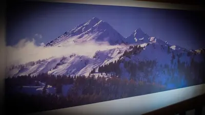 a painting of a snow covered mountain with trees at Mas di Siti in Castelfondo