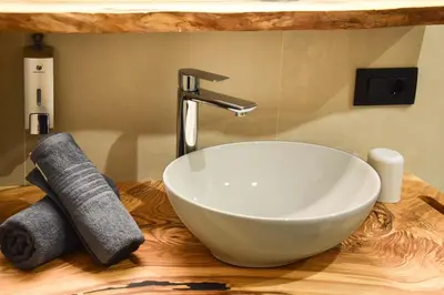 a white bowl sink on a wooden counter with a faucet at Ciasa Sotiac in Antermoia